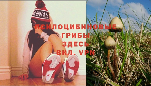 mdpv Лиски