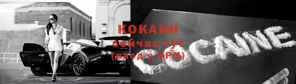 дурь Данков