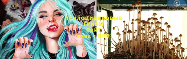 стафф Майский