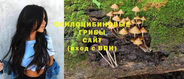 молекула духа Липки