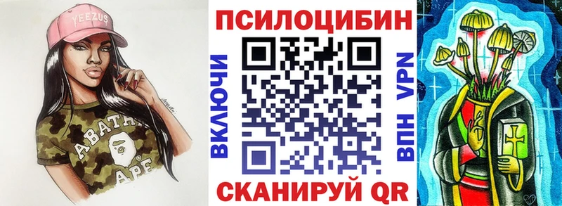 кракен как войти  наркошоп  Медынь  Псилоцибиновые грибы Psilocybe 